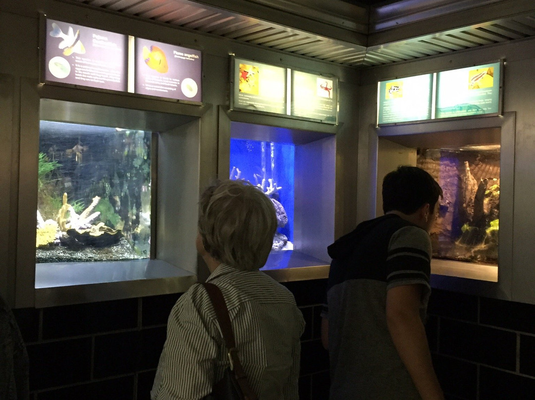 Belle Isle Aquarium-底特律必去景点