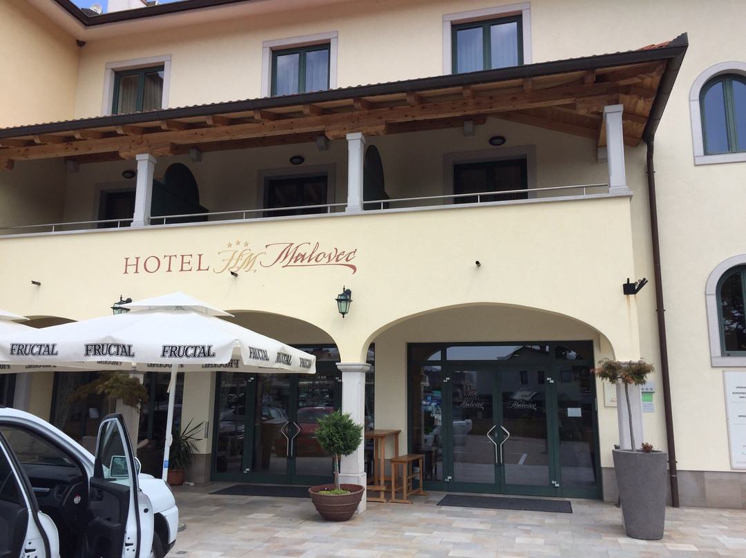 Hotel Malovec主图