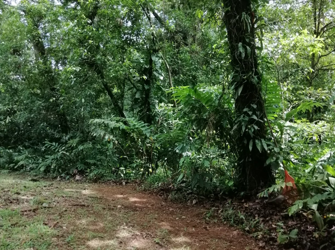 Aves De Tierras Altas景点图片