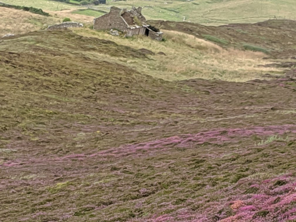 Knowe of Yarso Chambered Cairn-Rousay必去景点