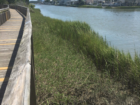 Heritage Shores Nature Preserve-美特尔海滩必去景点