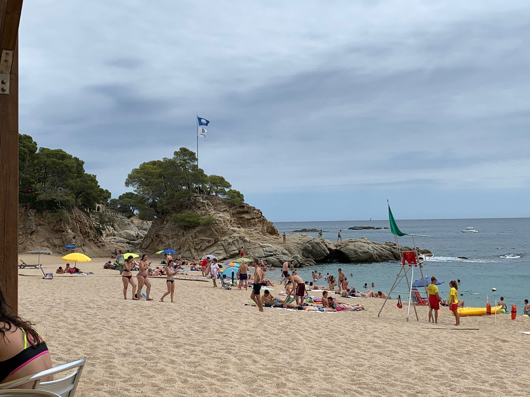 Playa Cala Rovira景点图片