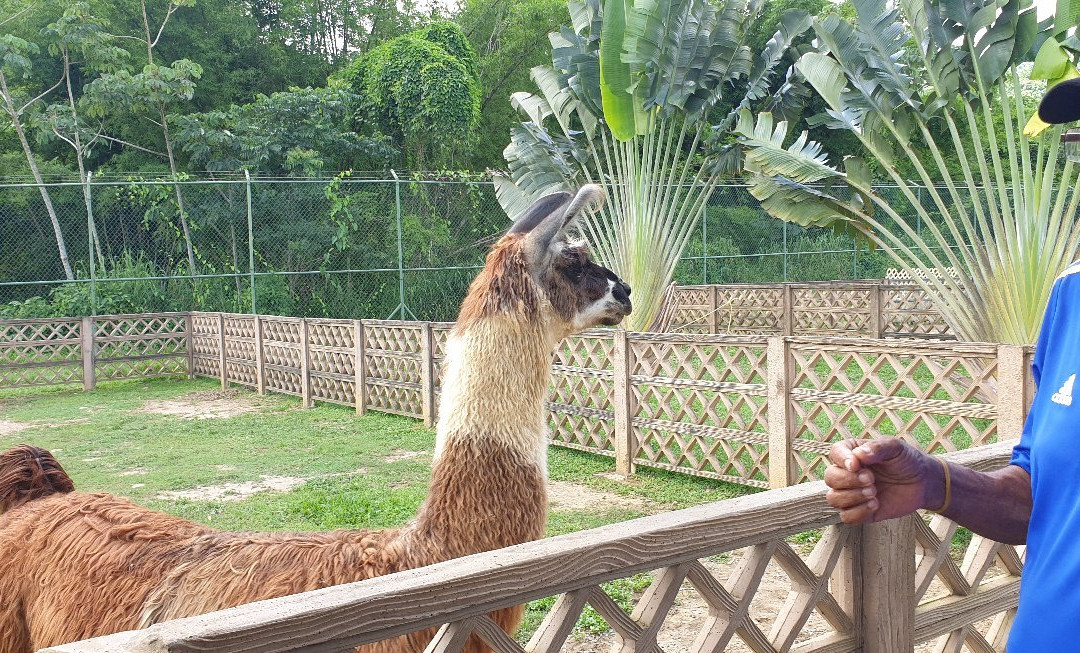 Safari Eco Park