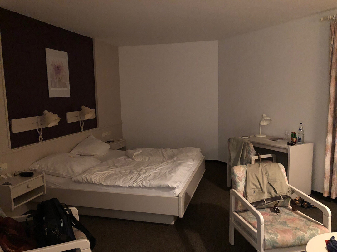 黑登纳尔酒店主图