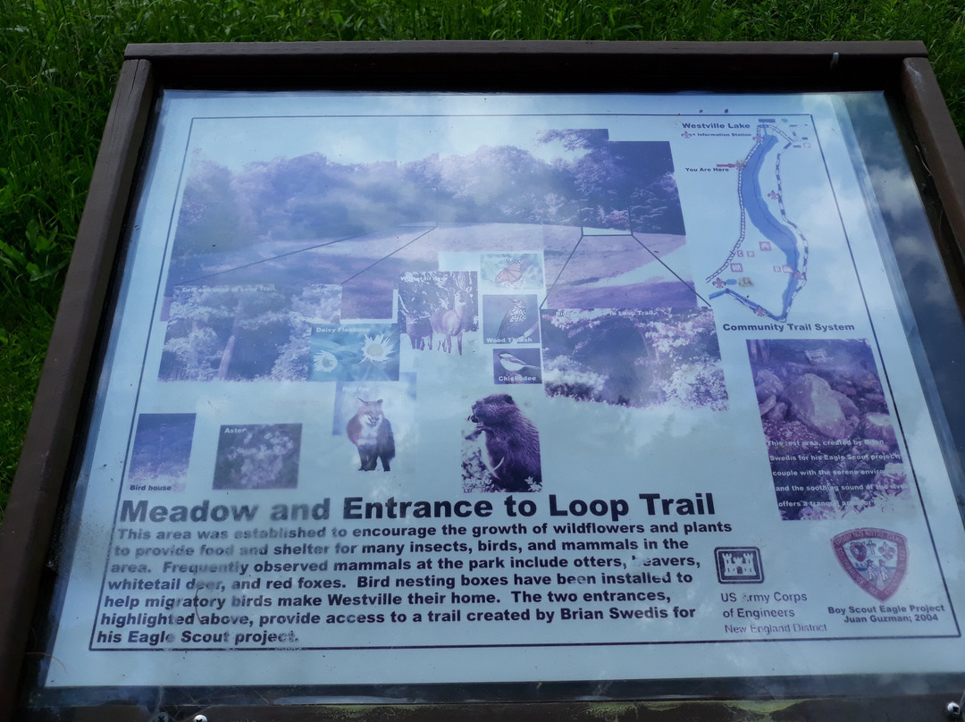 Westville Recreation Area-斯特布里奇必去景点