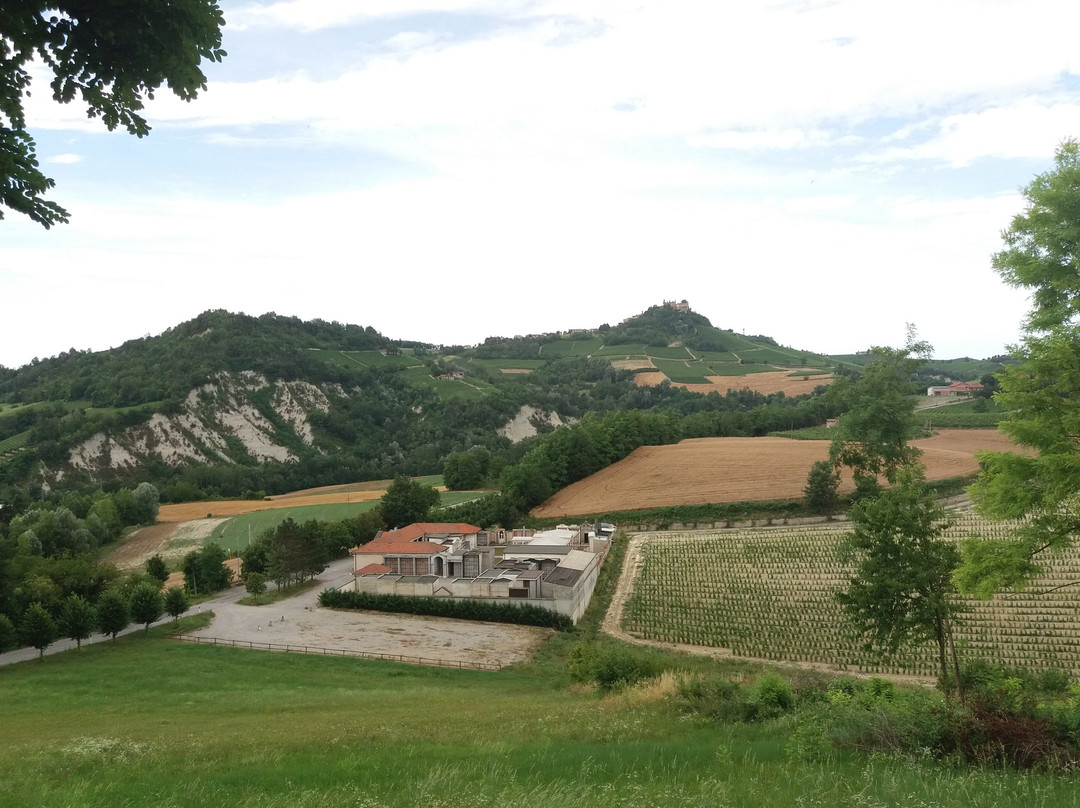 Strada del Barolo e Grandi Vini di Langa-Castiglione Falletto必去景点