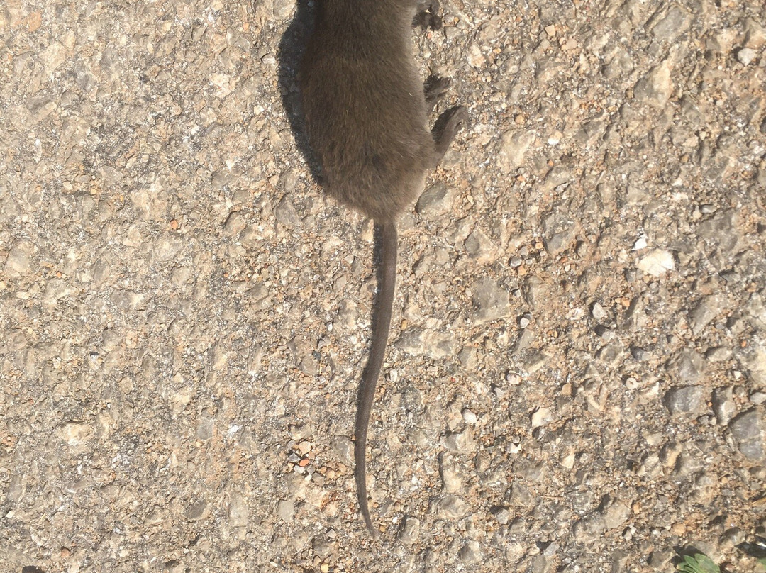 Prespa National Park-Korce必去景点