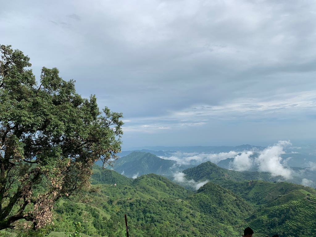 Charekh Food and Forest Resort主图