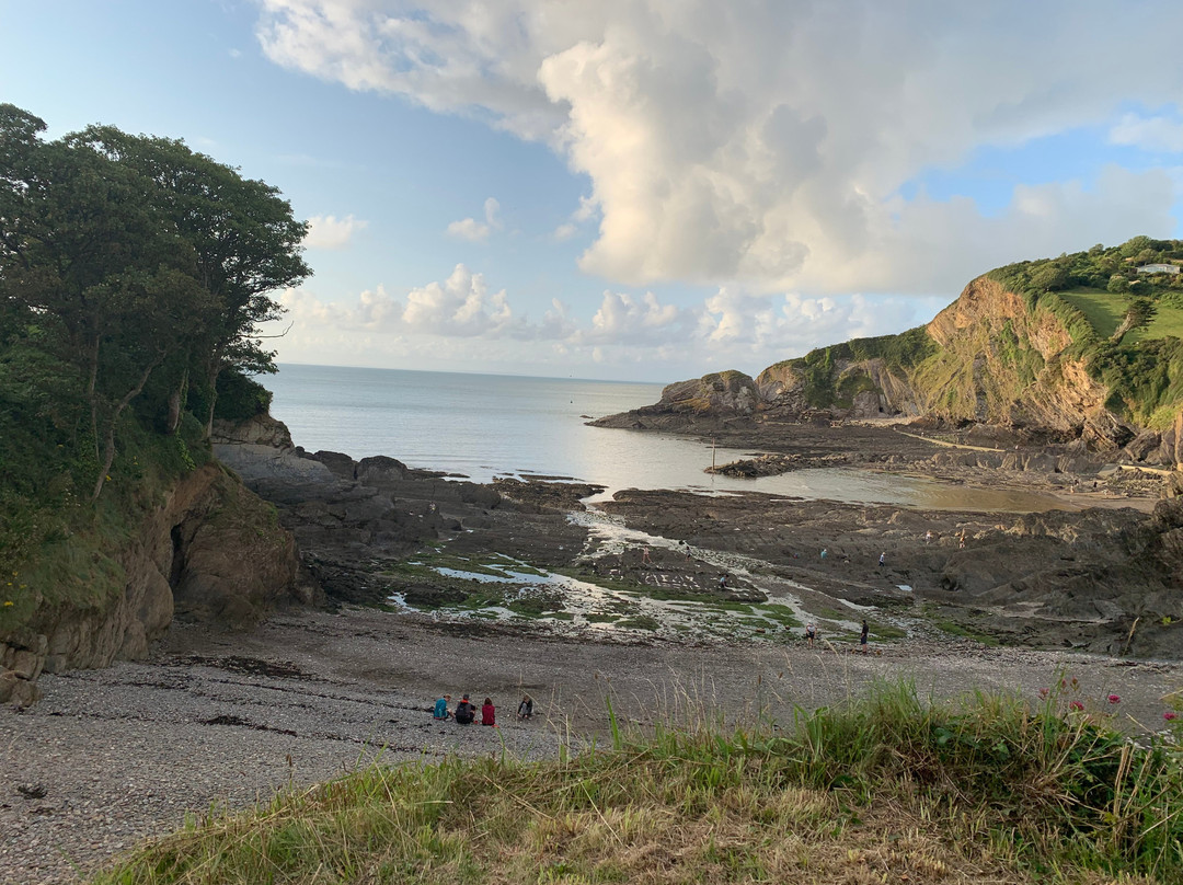 Newberry Beach Lodge B&B主图