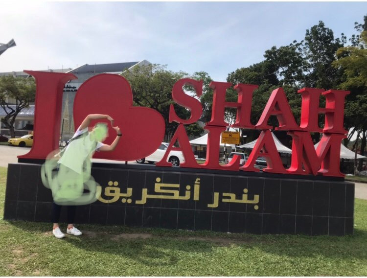 Sultan Alam Shah Museum景点图片
