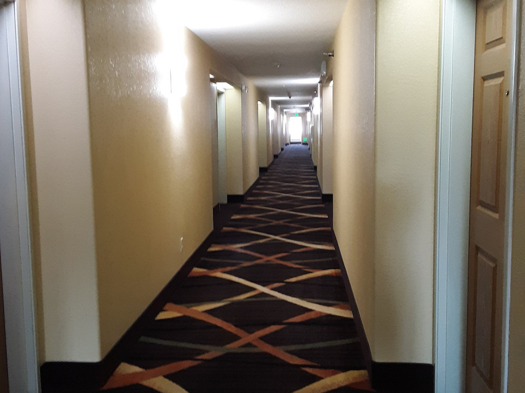 Comfort Inn & Suites Cedar Rapids North - Collins Road主图
