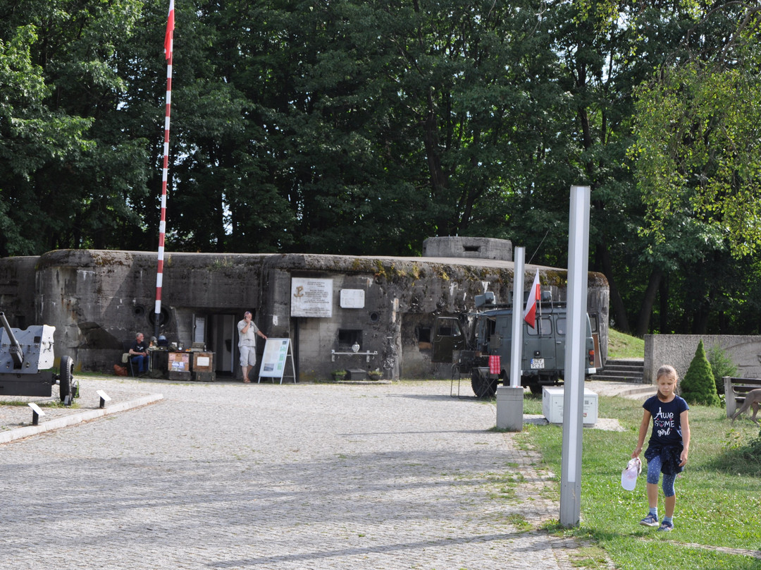 Fort Wedrowiec景点图片