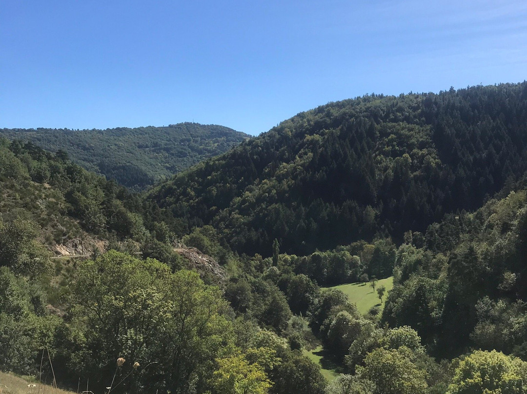 Cascade des Veyrines景点图片