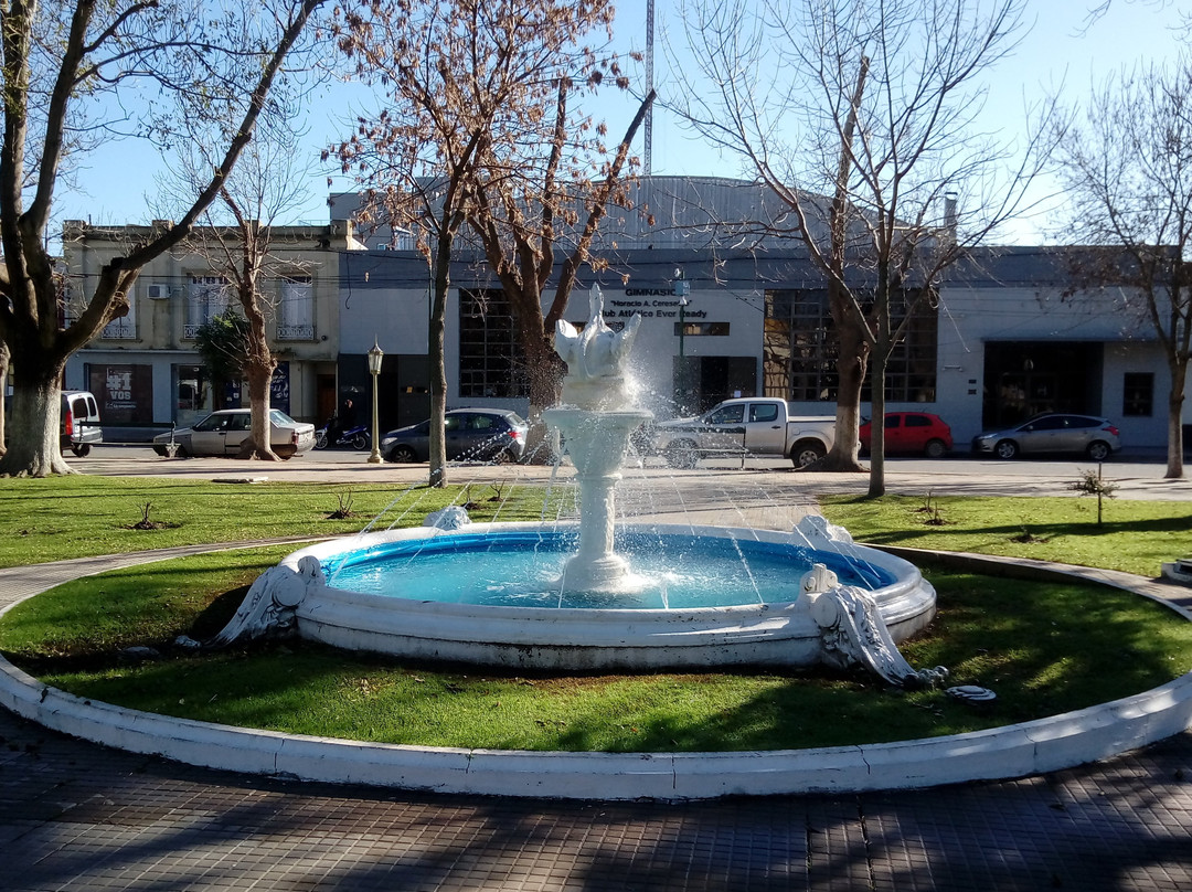 Plaza Castelli景点图片
