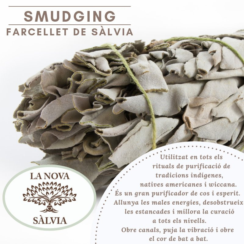 La Nova Salvia-Arenys de Mar必去景点