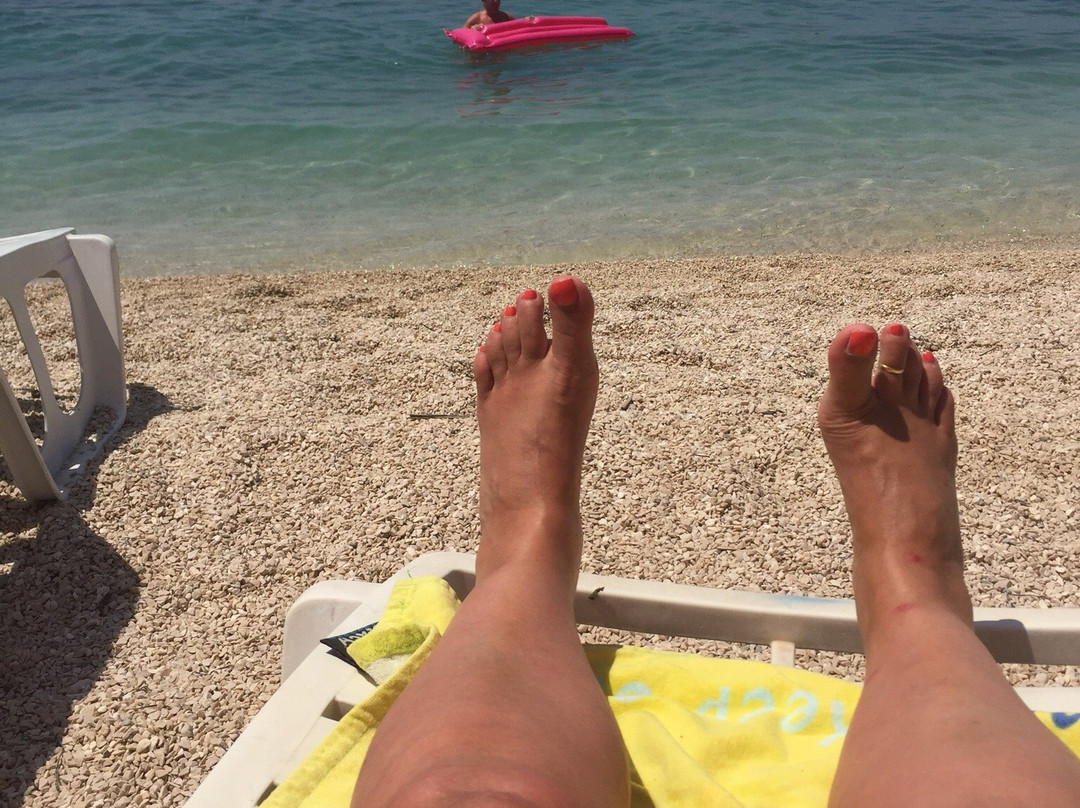 Villa Pinocchio主图