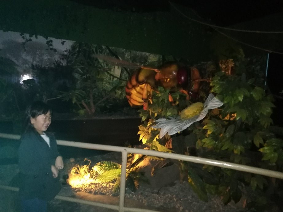 Parque de la Imaginacion-利马必去景点