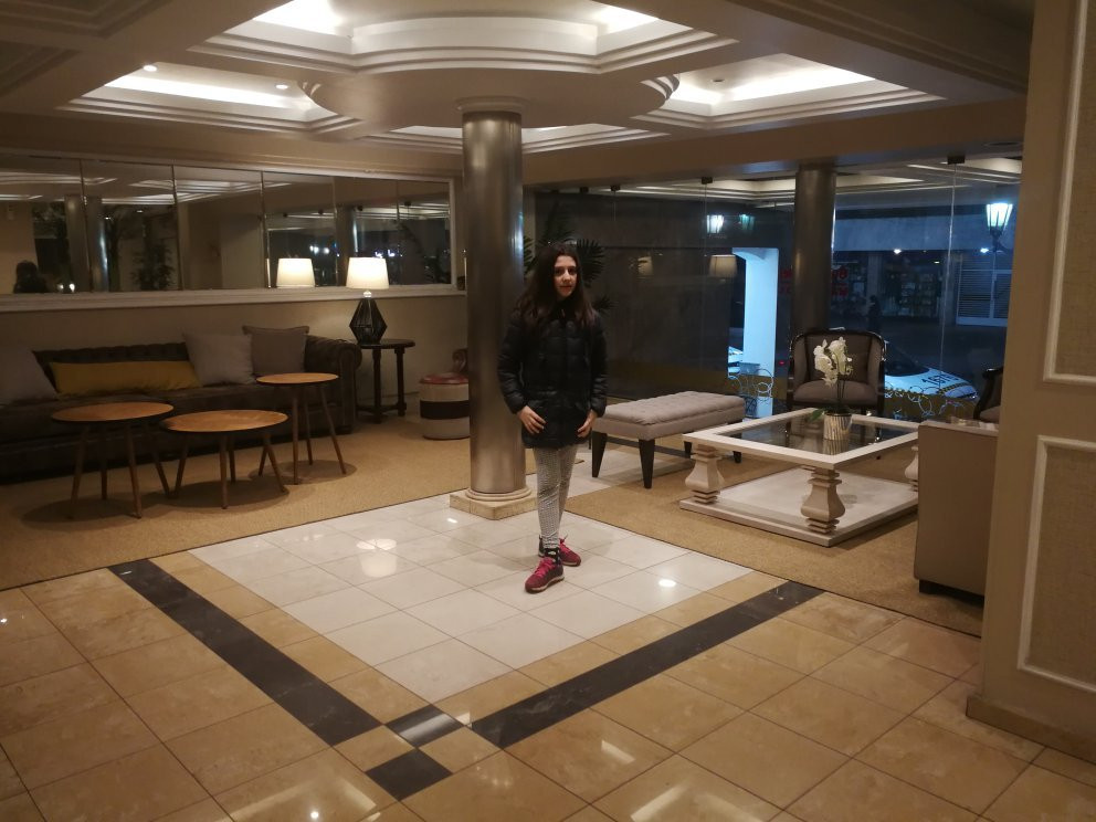 Swiss Hotel Metropol主图