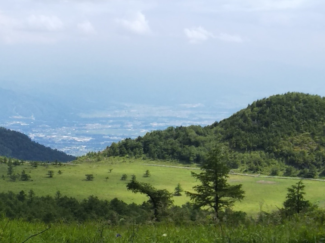 Ike no Taira Shitsugen-东御市必去景点