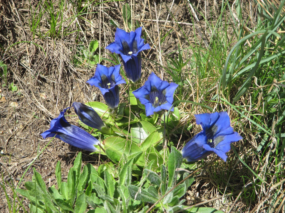 Thurntaler-Sillian必去景点