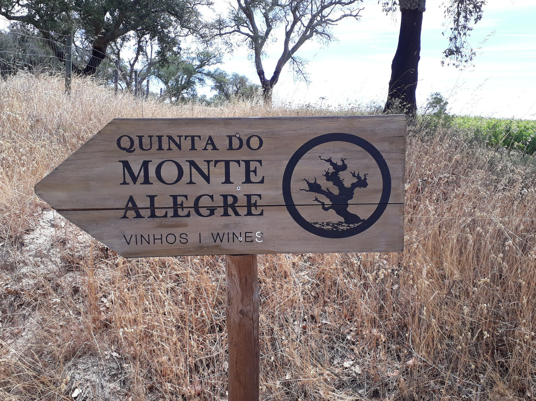 Quinta do Monte Alegre景点图片