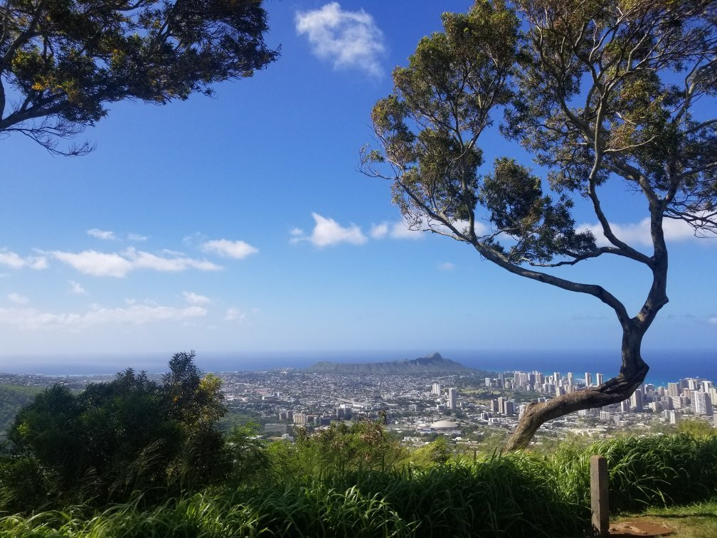 Exclusive Transportation Of Hawaii LLC-火奴鲁鲁必去景点