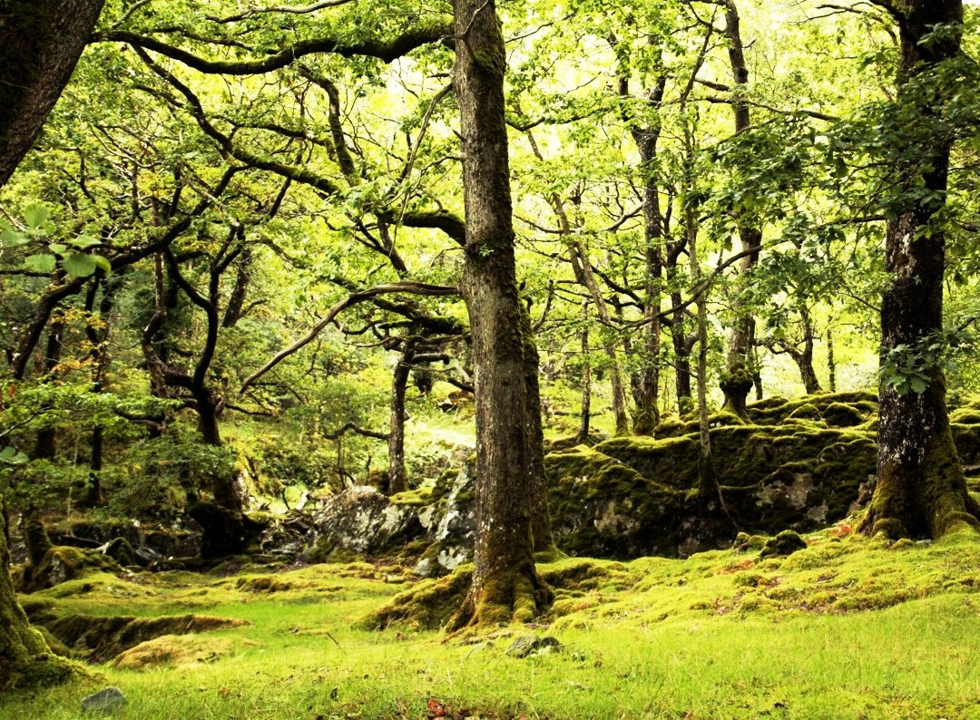 Rhaeadr Ddu Waterfalls景点图片