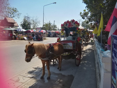 Horse Carriage Station