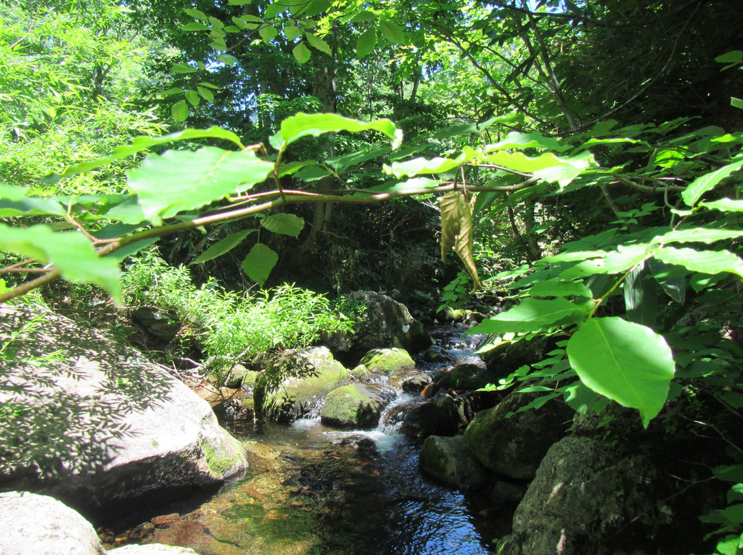 Dragon Water-岛牧村必去景点