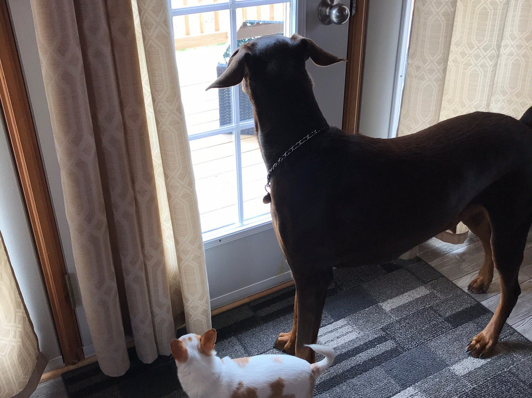 Hotel Motel Fleur de Lys主图