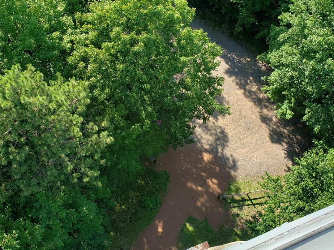 Mountain Fire Lookout Tower-Mountain必去景点