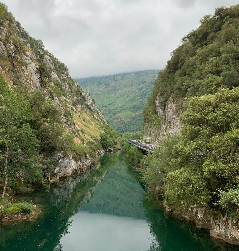 Cabrales Municipality旅游攻略图片