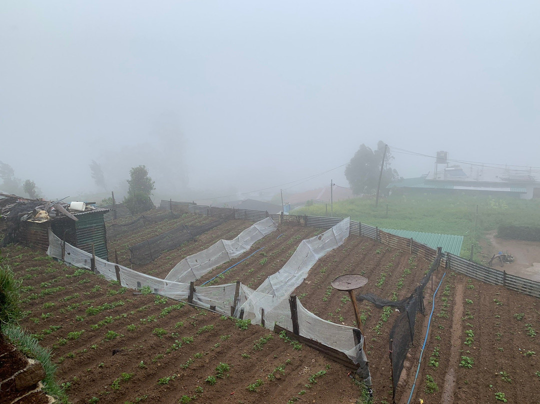 The Paul Wood Cabana主图