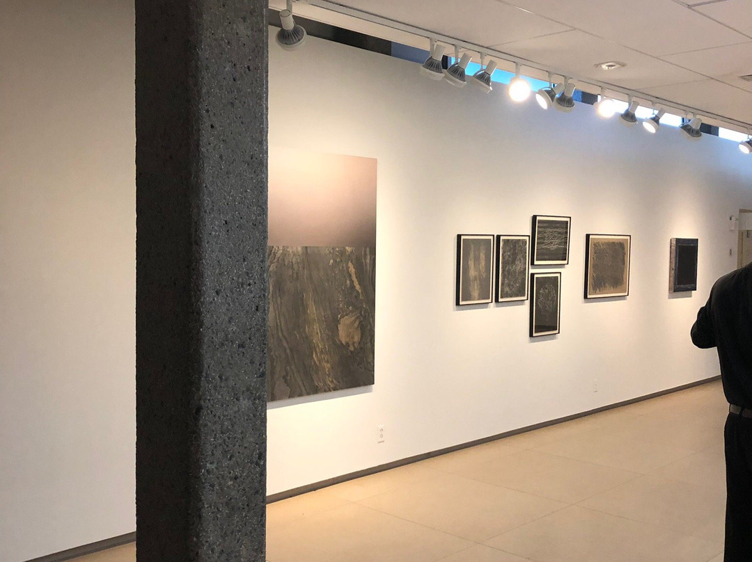 Rose Art Museum景点图片