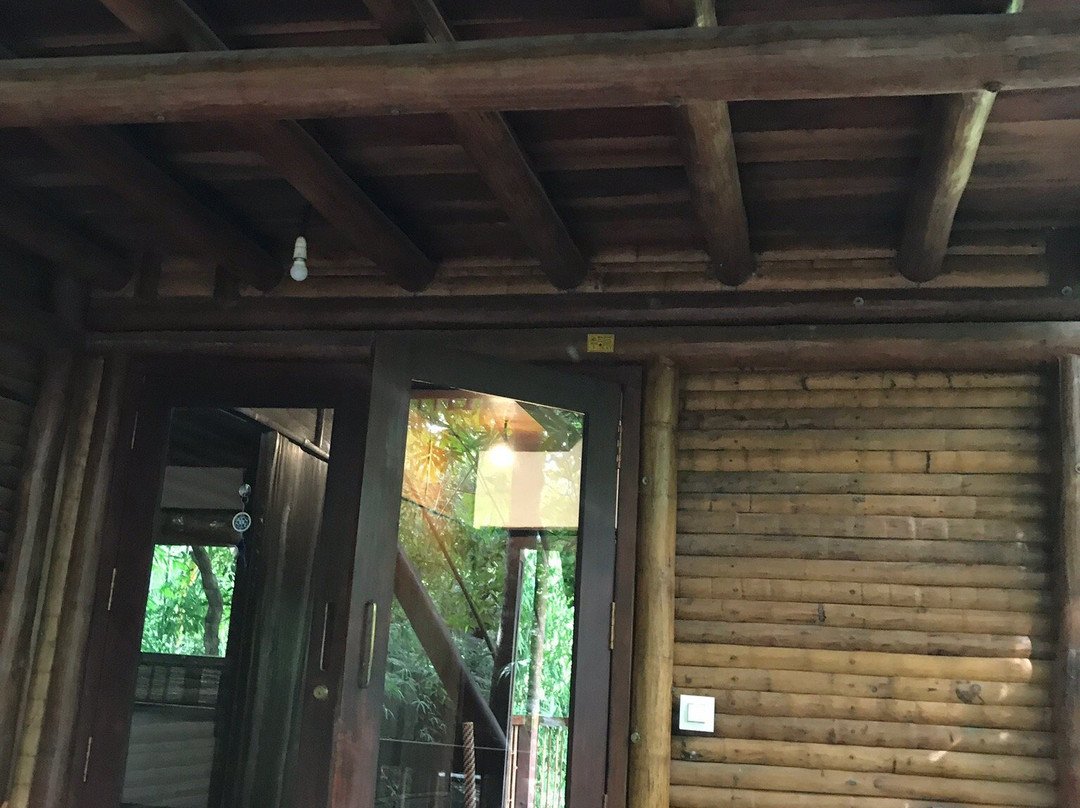 Uravu Bamboo Grove - A Wandertrails Showcase主图