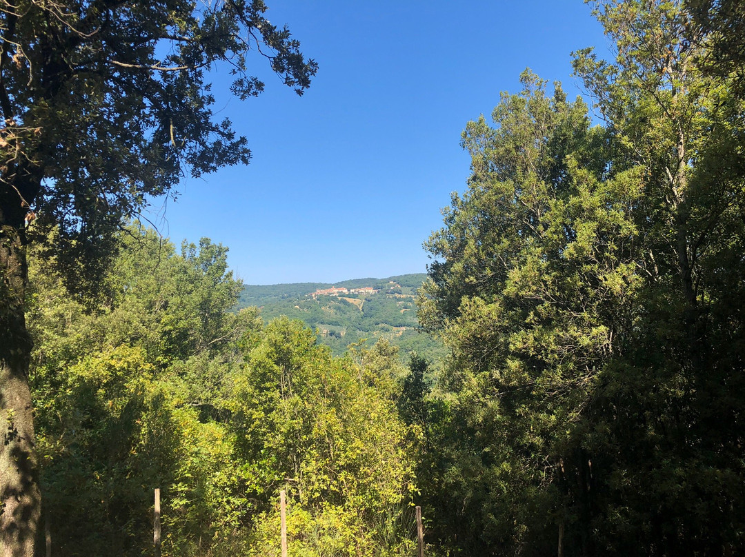 Relais Borgo Il Massera主图