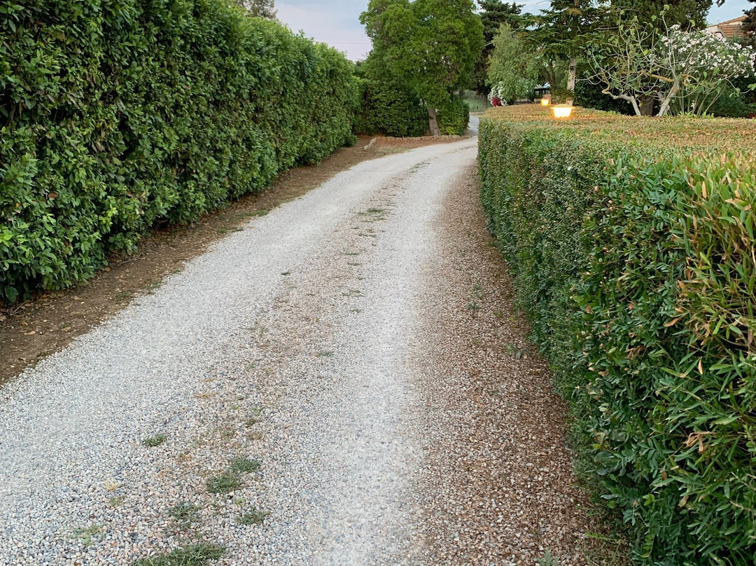 Agriturismo Capalbio Agrialbergo主图