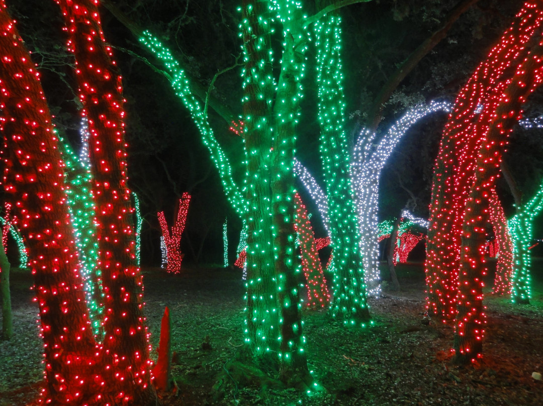 2024年10月Old West Christmas Light Fest at Enchanted Springs Ranch景点攻略