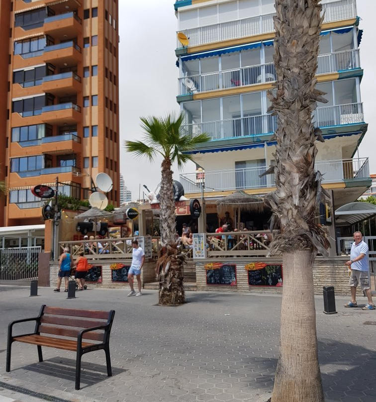 Sol Beach Bar - Benidorm景点图片