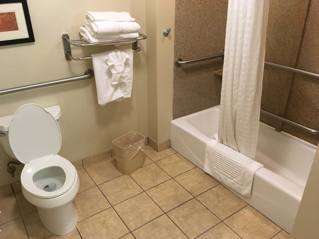 Comfort Suites Rock Hill Manchester Meadows Area主图