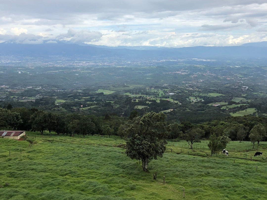 波阿斯小屋酒店主图