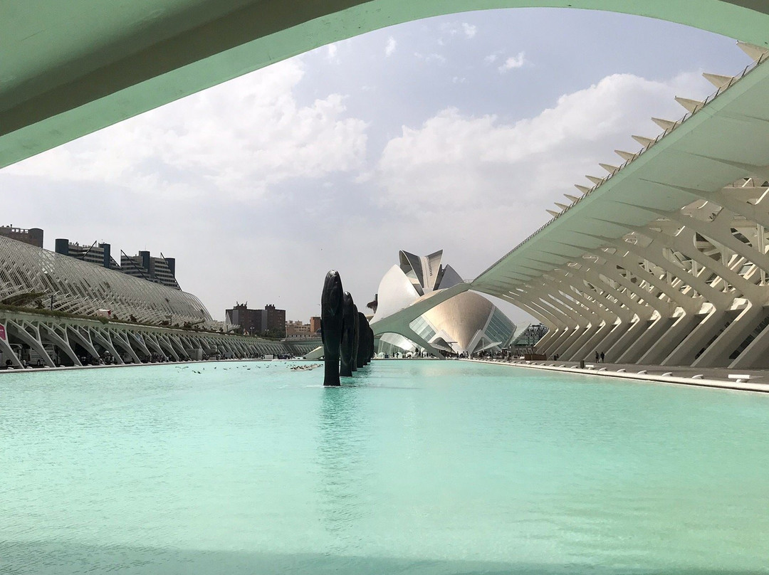 Valencia Bikes-巴伦西亚必去景点