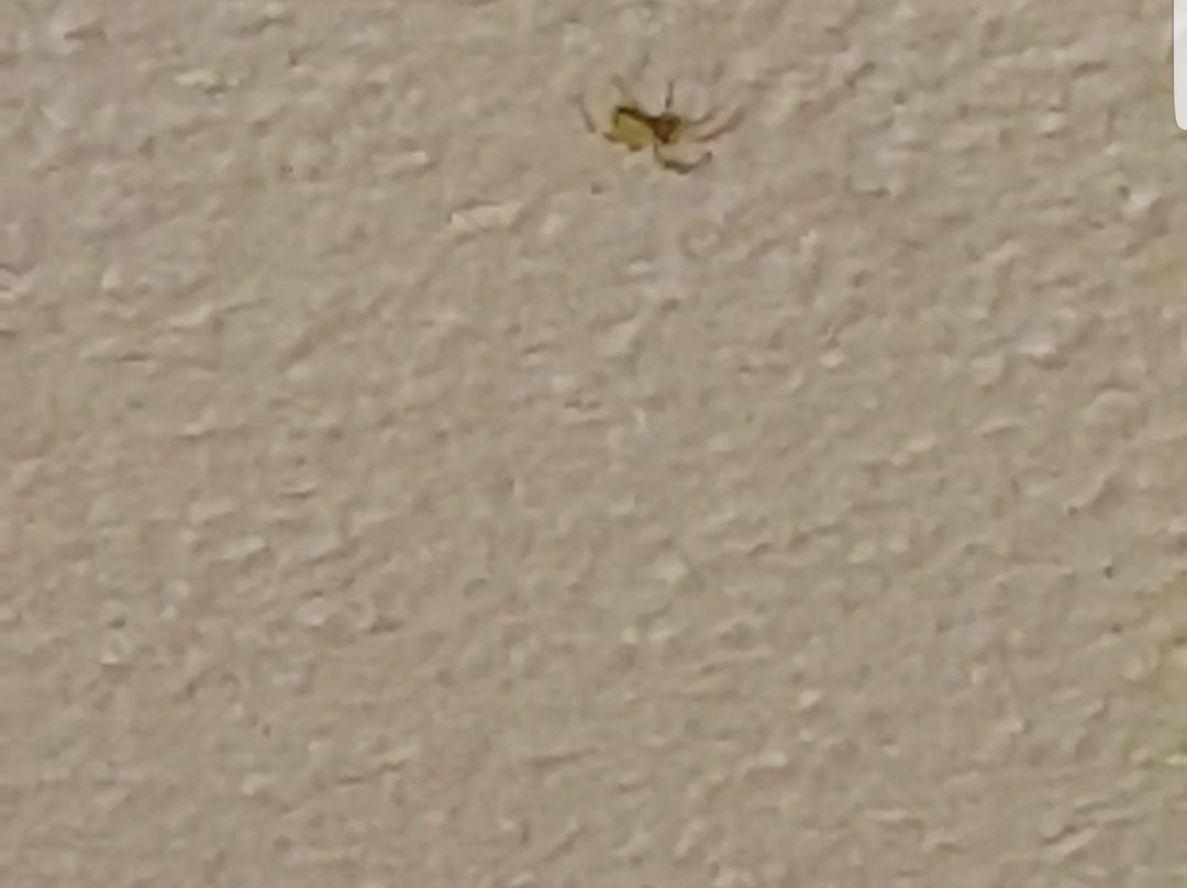 芒通基里亚德酒店主图