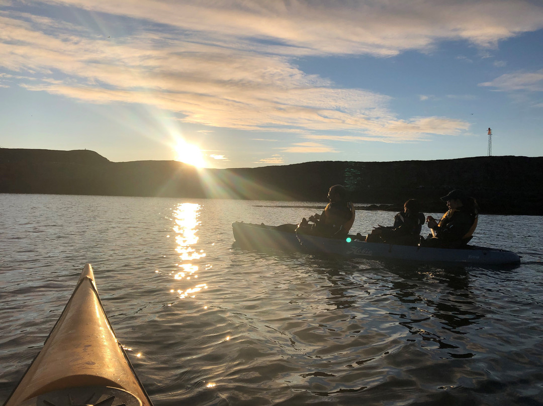 Kontiki Kayaktours-Stykkisholmur必去景点