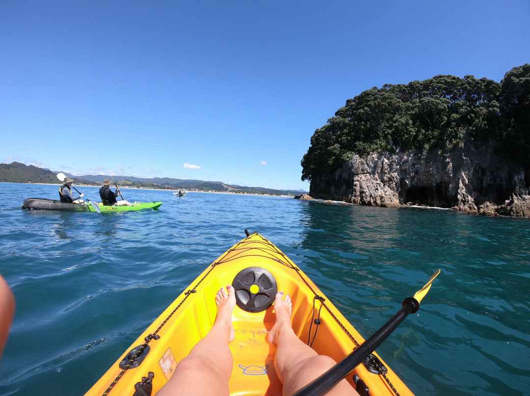 Pedal and Paddle景点图片