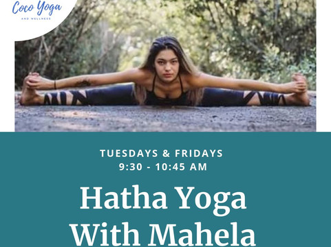 Coco Yoga & Wellness-Playas del Coco必去景点