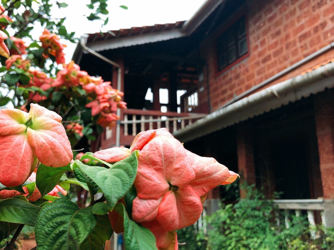 Farm of Happiness Agro Tourism Homestay主图