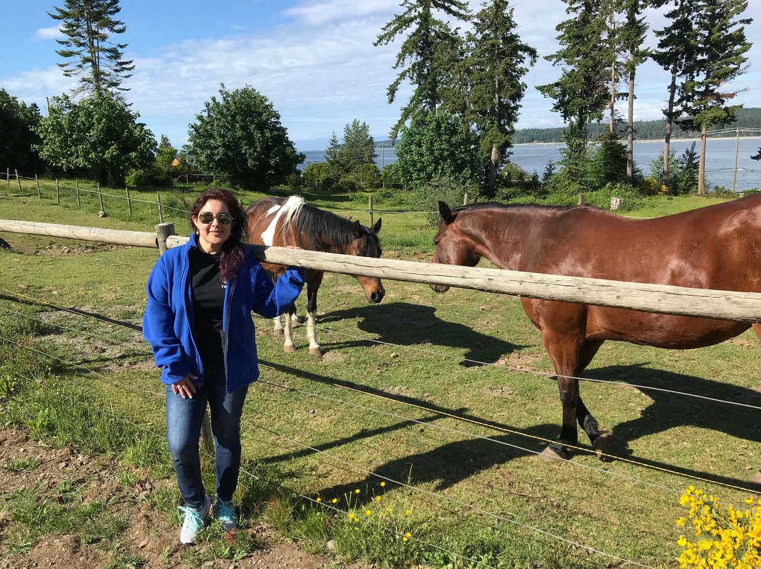 Two Eagles Lodge主图