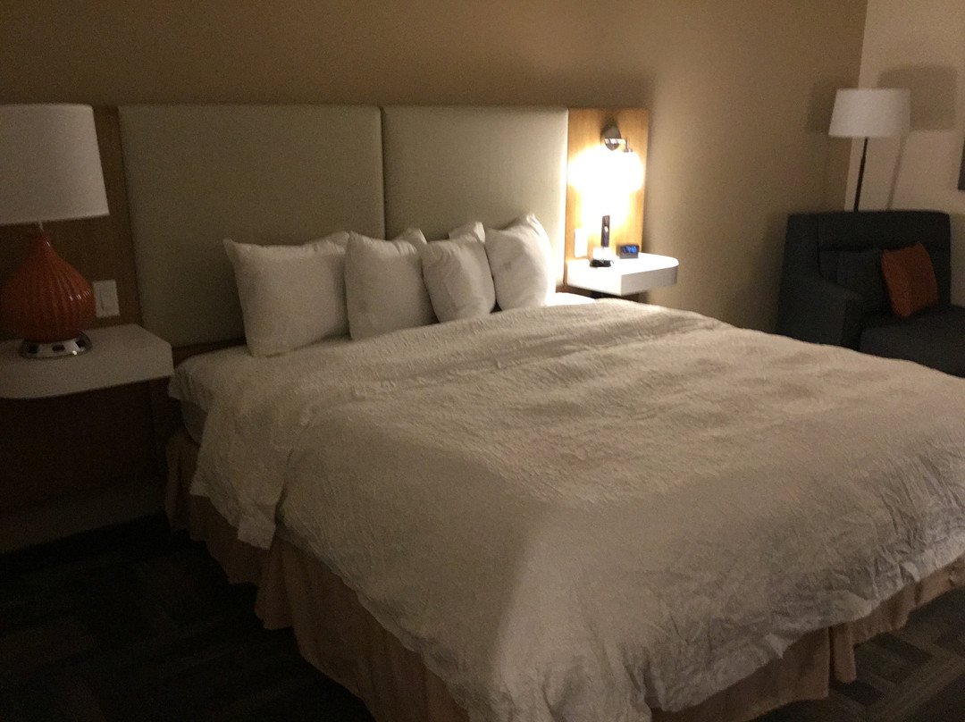 Hampton Inn Charleston-North主图