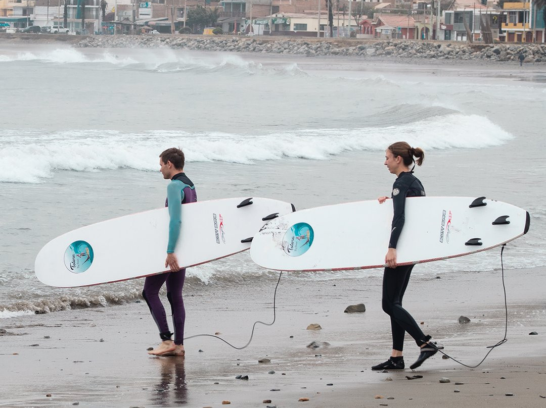 Totora Surf School景点图片